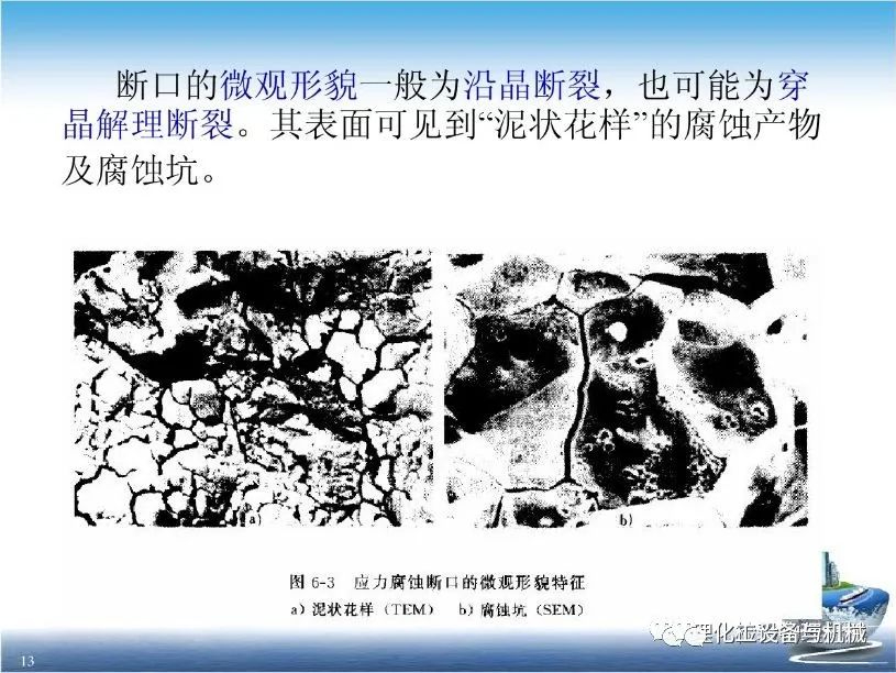 天狮娱乐 b4d70