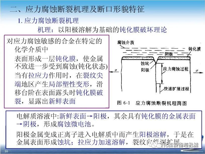 天狮娱乐 c19cf