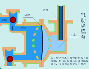天狮娱乐 5f973
