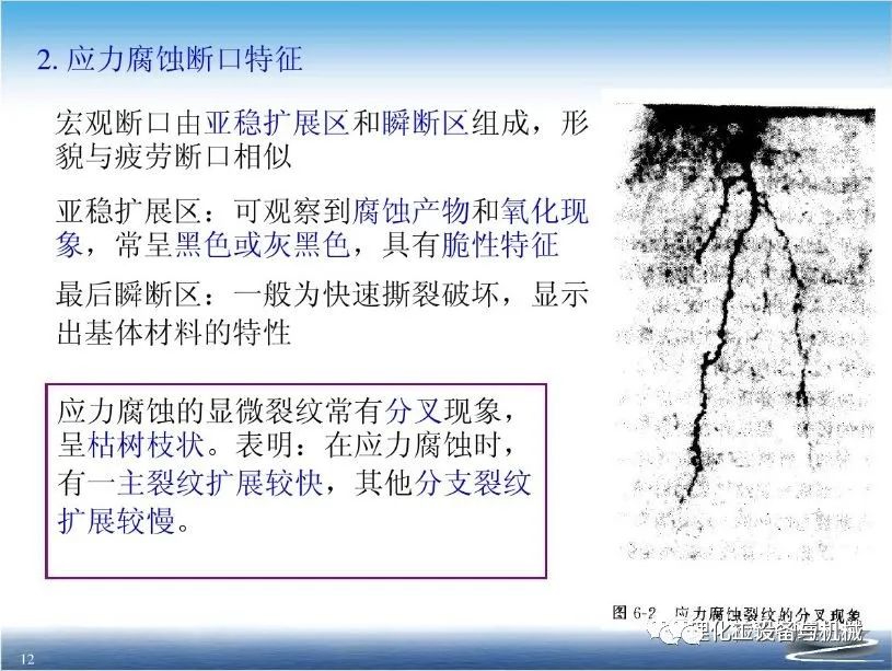 天狮娱乐 06d08