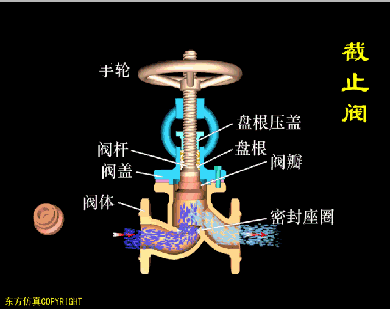 天狮娱乐 d57d7